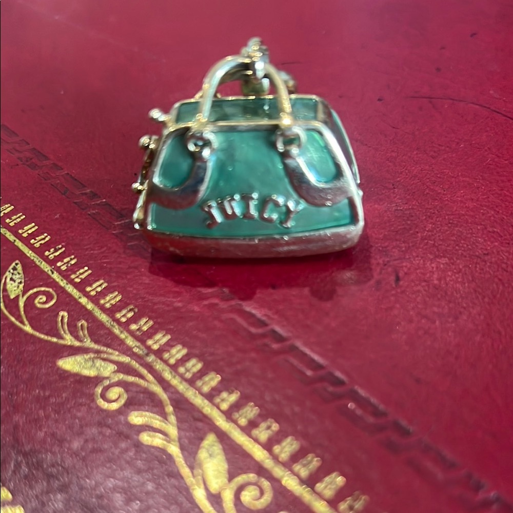 Juicy Couture Charm with dog carrier and Dog!   Still has the dog